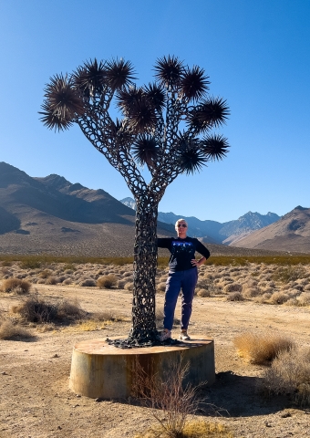 Joshua Art Tree