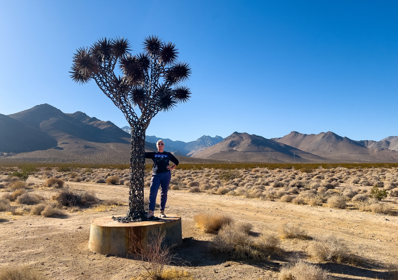 Joshua Art Tree